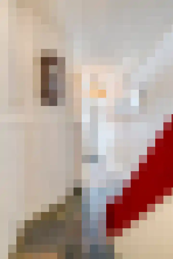 Zeelsterstraat 181 Eindhoven thumbnail 6