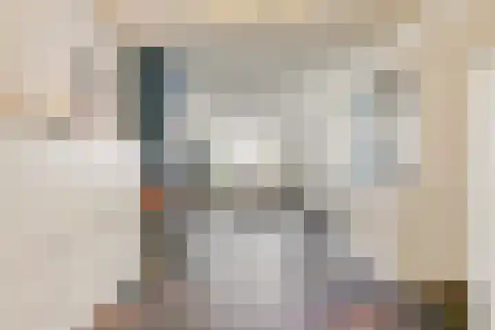 Zeelsterstraat 181 Eindhoven thumbnail 8