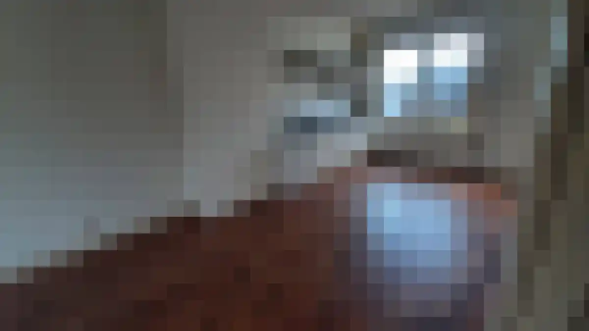 Zeelsterstraat 183 Eindhoven thumbnail 6