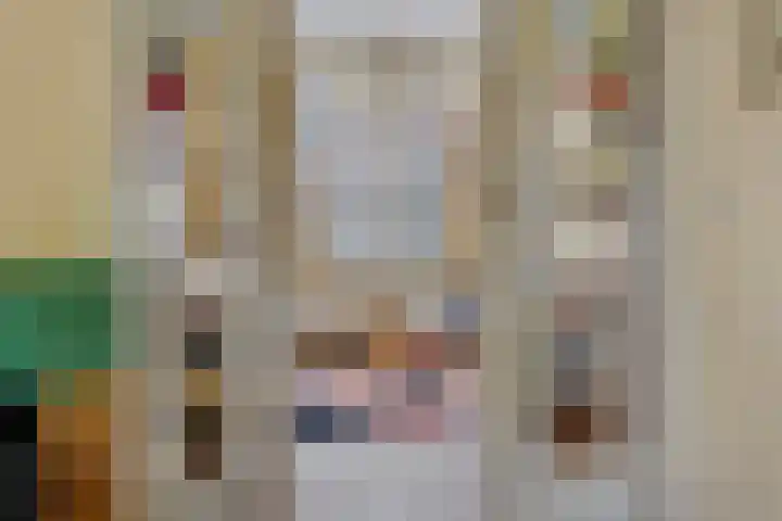 Zeelsterstraat 199 Eindhoven thumbnail 11