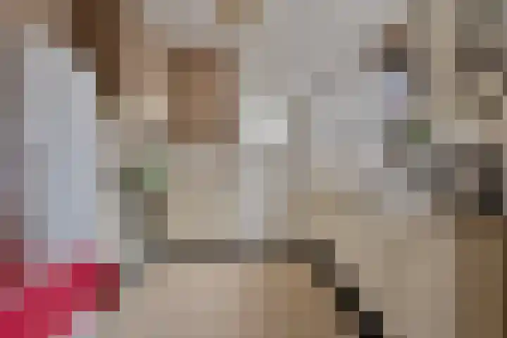 Zeelsterstraat 199 Eindhoven thumbnail 16
