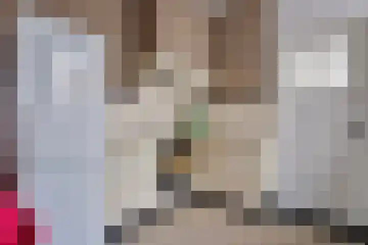 Zeelsterstraat 199 Eindhoven thumbnail 18