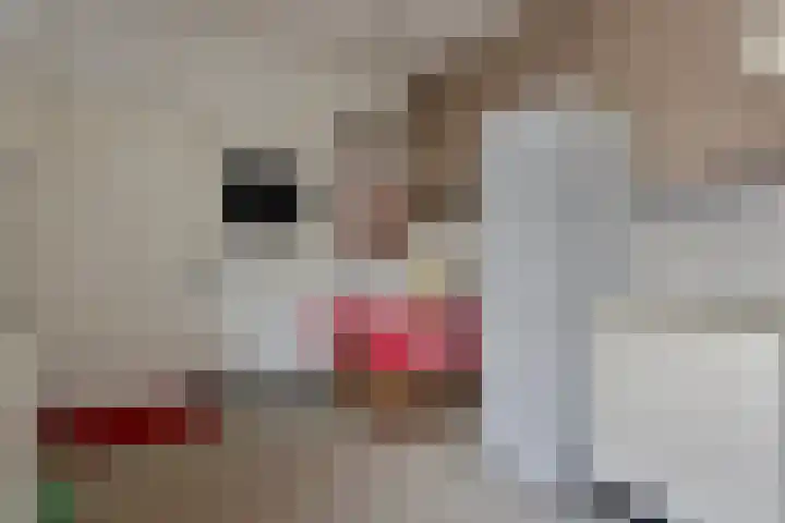 Zeelsterstraat 199 Eindhoven thumbnail 19