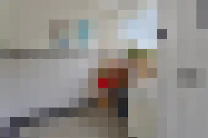 Zeelsterstraat 199 Eindhoven thumbnail 20