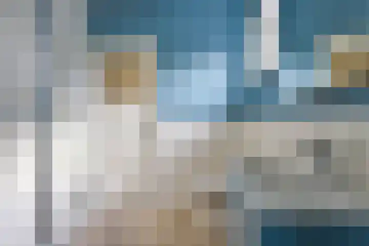Zeelsterstraat 199 Eindhoven thumbnail 21