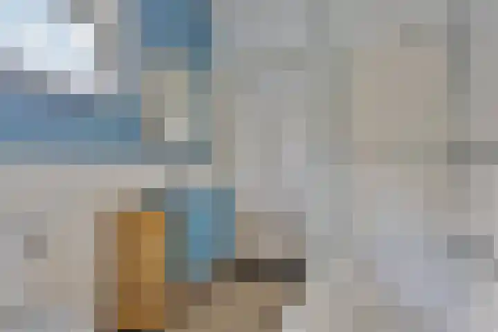 Zeelsterstraat 199 Eindhoven thumbnail 22