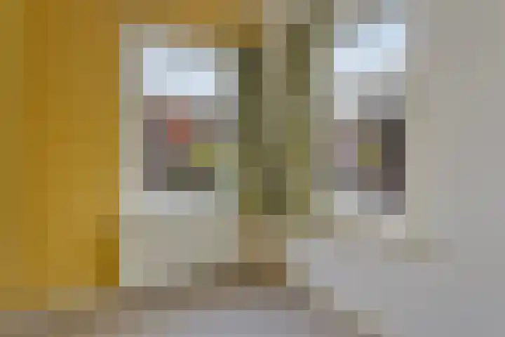 Zeelsterstraat 199 Eindhoven thumbnail 24