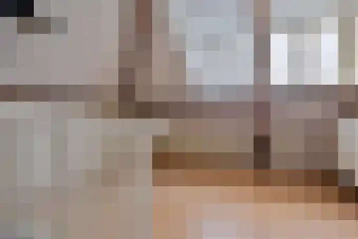 Zeelsterstraat 199 Eindhoven thumbnail 28