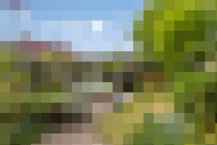 Zeelsterstraat 199 Eindhoven thumbnail 32
