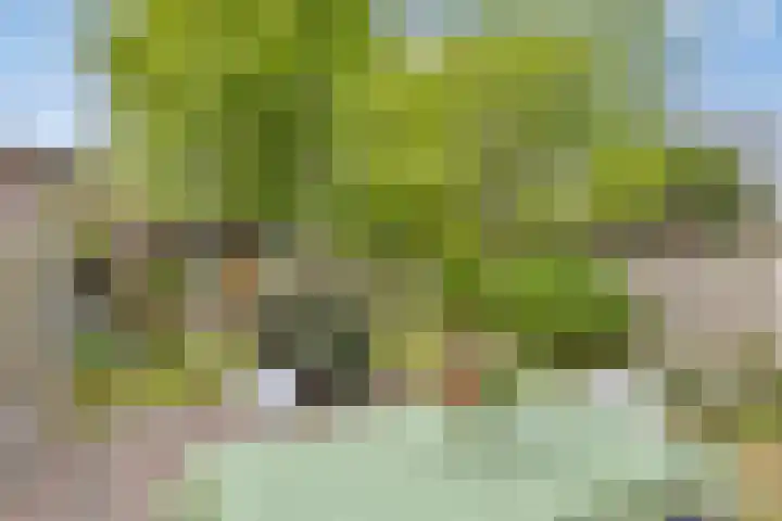 Zeelsterstraat 199 Eindhoven thumbnail 33