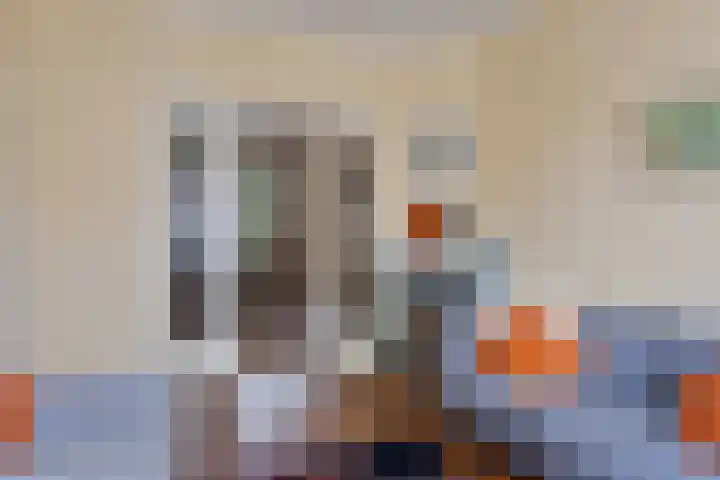 Zeelsterstraat 199 Eindhoven thumbnail 8