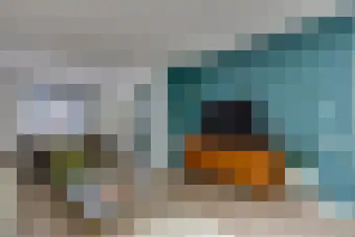 Zeelsterstraat 215 Eindhoven thumbnail 10