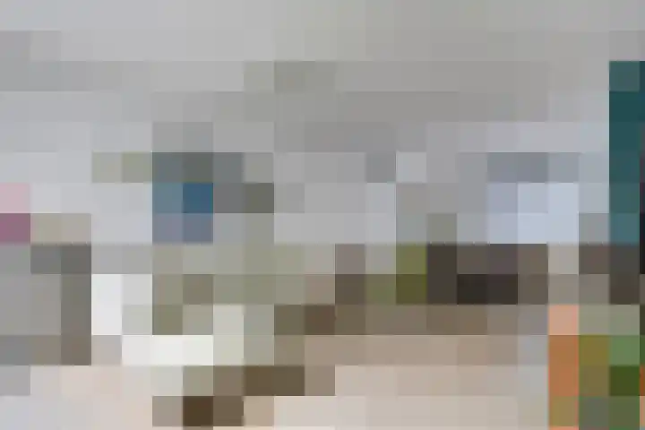 Zeelsterstraat 215 Eindhoven thumbnail 11