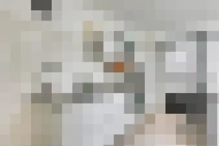 Zeelsterstraat 215 Eindhoven thumbnail 12