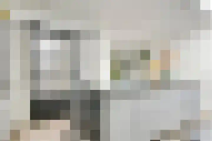 Zeelsterstraat 215 Eindhoven thumbnail 13