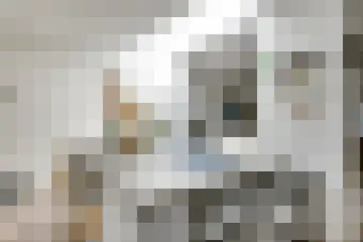 Zeelsterstraat 215 Eindhoven thumbnail 14