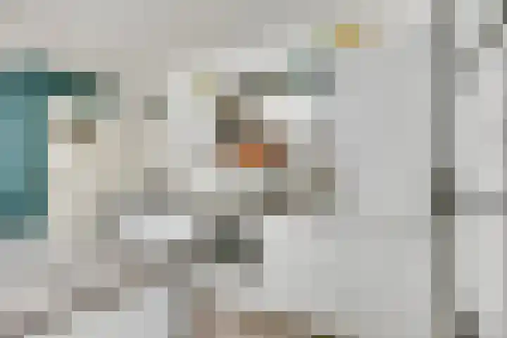 Zeelsterstraat 215 Eindhoven thumbnail 15