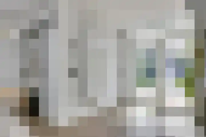 Zeelsterstraat 215 Eindhoven thumbnail 17