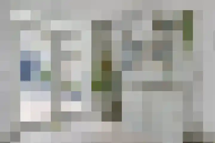 Zeelsterstraat 215 Eindhoven thumbnail 18