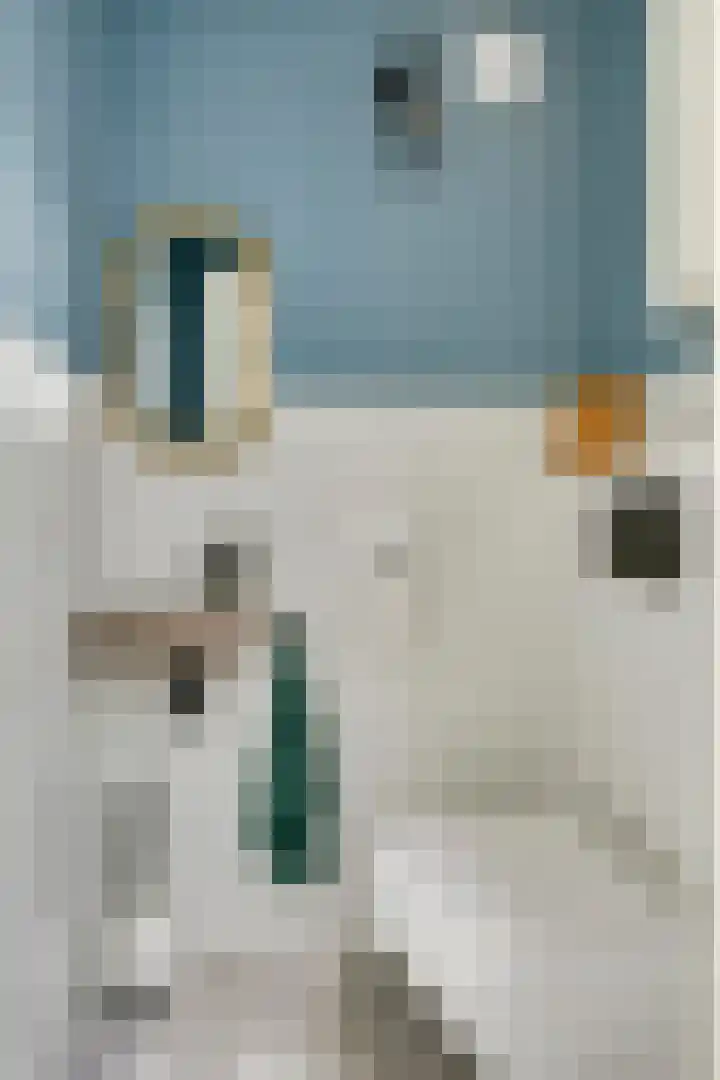 Zeelsterstraat 215 Eindhoven thumbnail 20