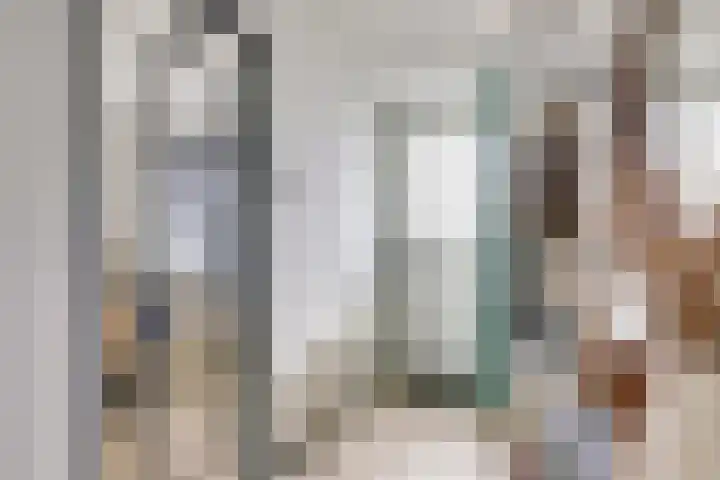 Zeelsterstraat 215 Eindhoven thumbnail 21