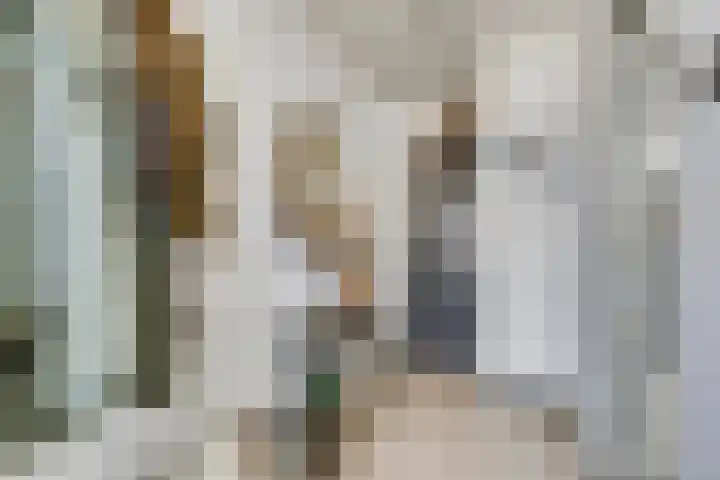 Zeelsterstraat 215 Eindhoven thumbnail 22