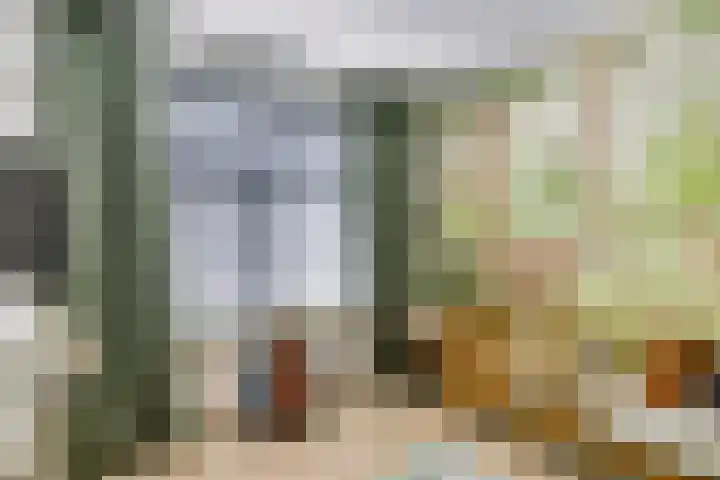 Zeelsterstraat 215 Eindhoven thumbnail 25