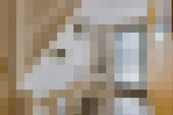 Zeelsterstraat 215 Eindhoven thumbnail 27