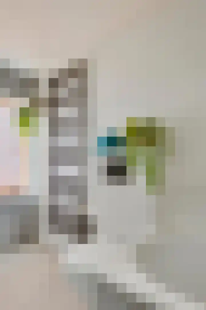 Zeelsterstraat 215 Eindhoven thumbnail 31