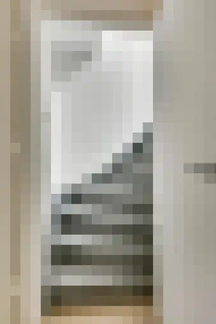 Zeelsterstraat 215 Eindhoven thumbnail 32