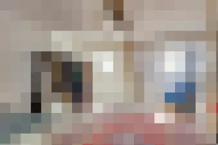Zeelsterstraat 215 Eindhoven thumbnail 34