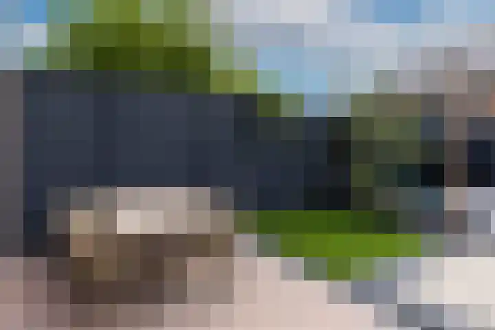 Zeelsterstraat 215 Eindhoven thumbnail 36