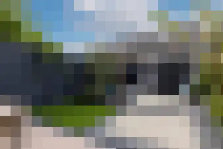 Zeelsterstraat 215 Eindhoven thumbnail 37