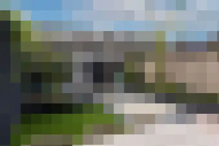 Zeelsterstraat 215 Eindhoven thumbnail 38