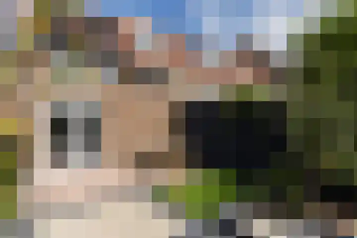 Zeelsterstraat 215 Eindhoven thumbnail 39