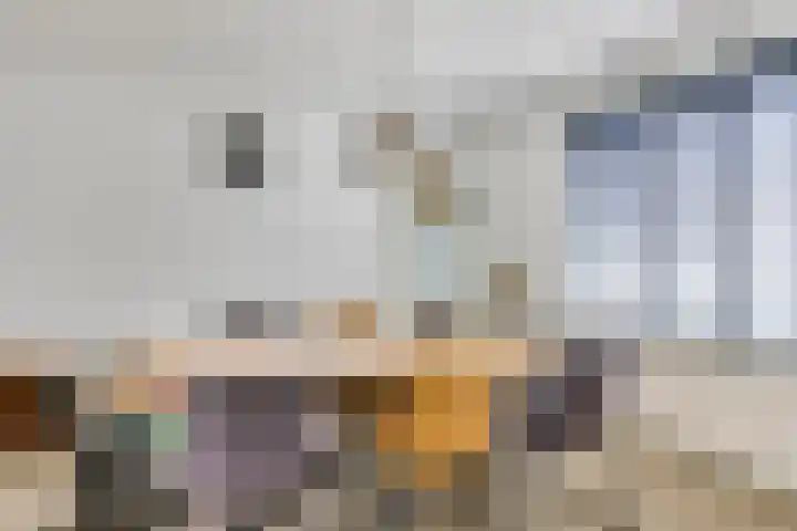 Zeelsterstraat 215 Eindhoven thumbnail 4