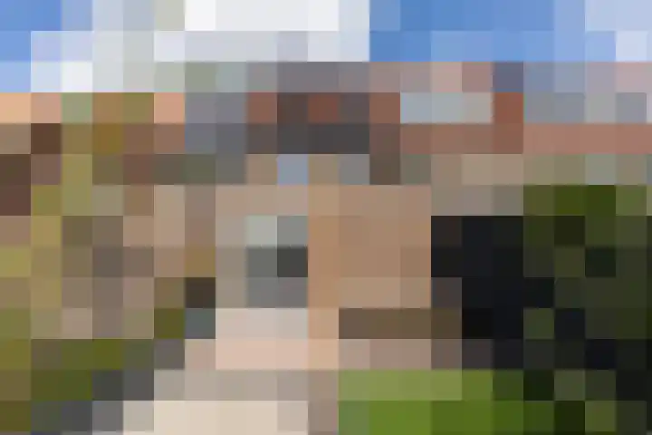 Zeelsterstraat 215 Eindhoven thumbnail 40