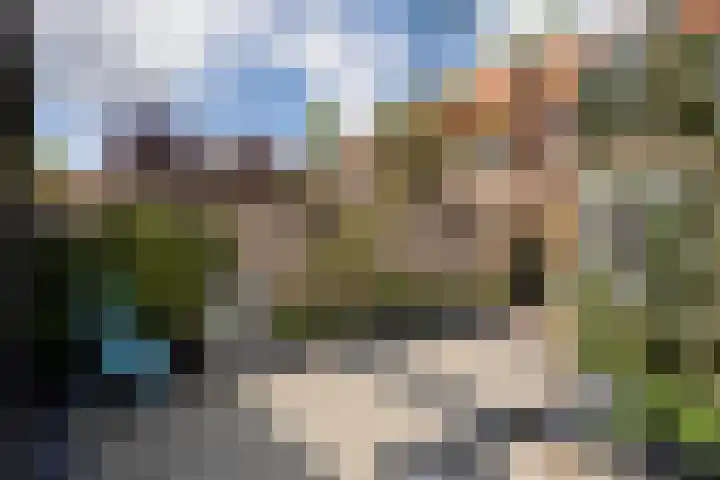 Zeelsterstraat 215 Eindhoven thumbnail 41