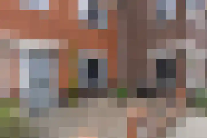 Zeelsterstraat 215 Eindhoven thumbnail 42