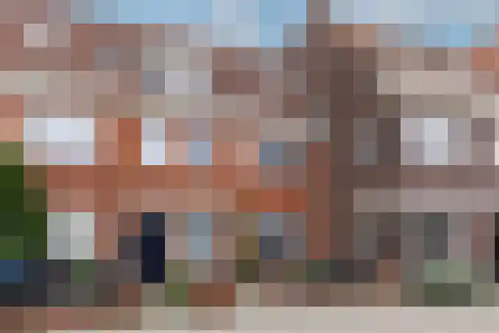 Zeelsterstraat 215 Eindhoven thumbnail 43