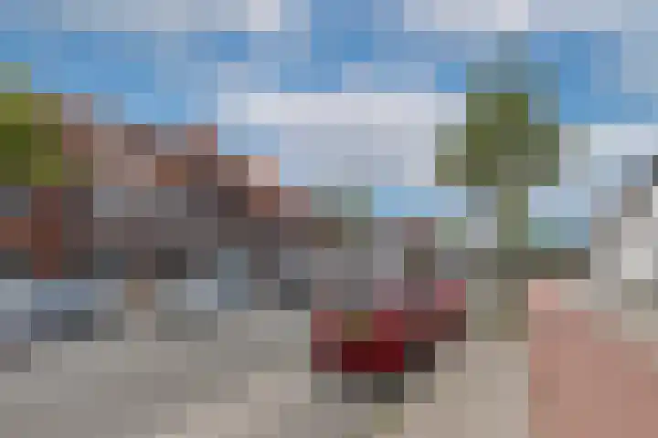 Zeelsterstraat 215 Eindhoven thumbnail 44
