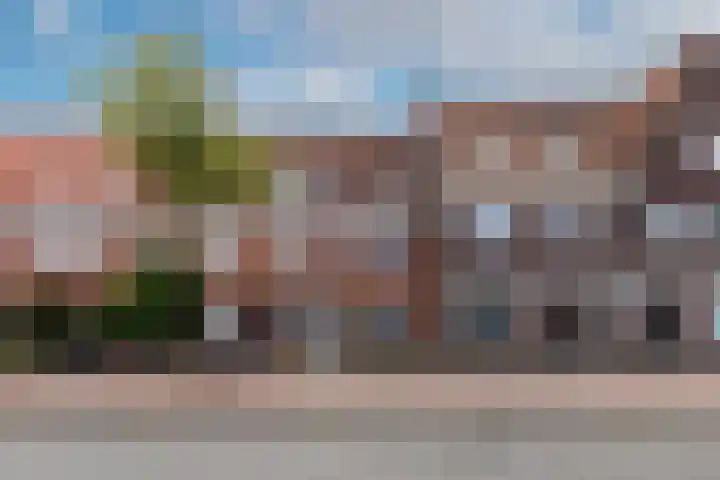 Zeelsterstraat 215 Eindhoven thumbnail 46