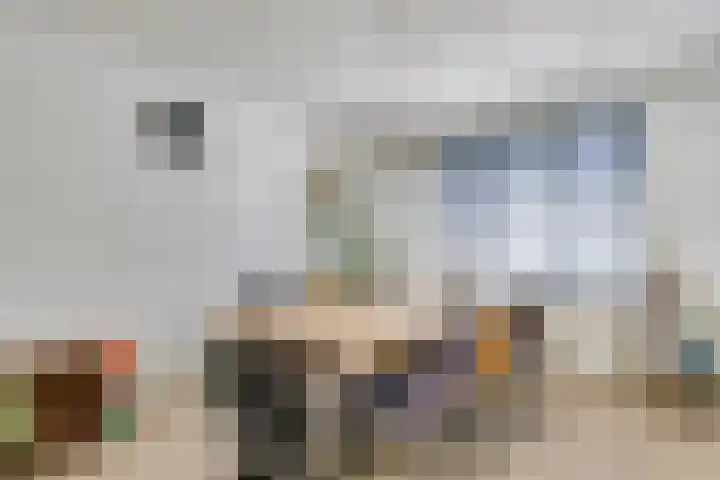 Zeelsterstraat 215 Eindhoven thumbnail 5
