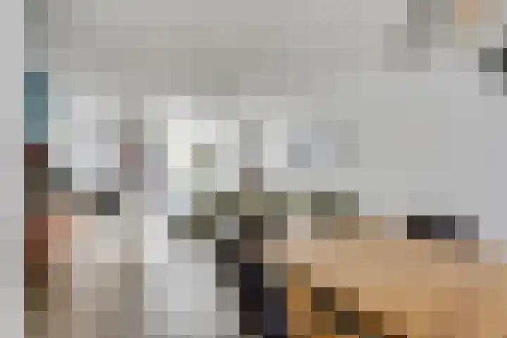 Zeelsterstraat 215 Eindhoven thumbnail 8