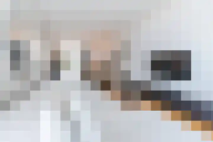 Zeelsterstraat 217 Eindhoven thumbnail 11