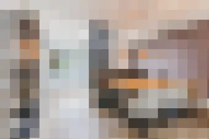 Zeelsterstraat 217 Eindhoven thumbnail 12