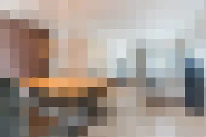 Zeelsterstraat 217 Eindhoven thumbnail 13