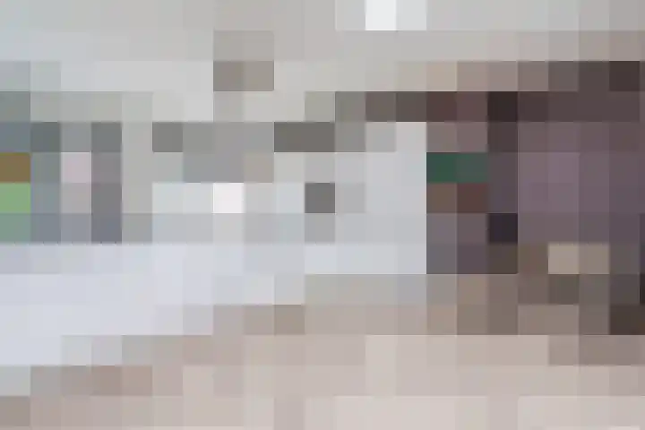 Zeelsterstraat 217 Eindhoven thumbnail 16