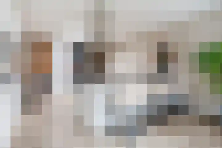 Zeelsterstraat 217 Eindhoven thumbnail 17
