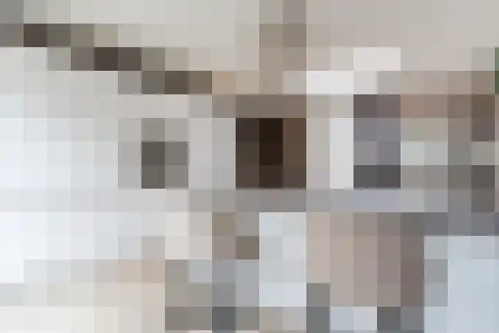Zeelsterstraat 217 Eindhoven thumbnail 18